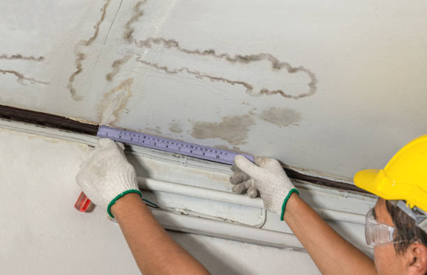 Reliable Water Damage contractor in Ayer, MA by Water Damage Irwin